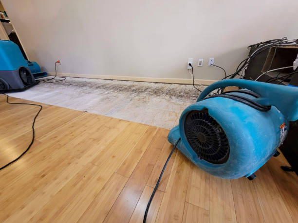 Professional Basement Flood Cleanup technician working in New Melle, MO